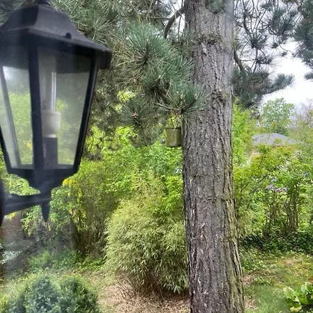 Hébergement de vacances Cozy In The Heart Of Nature *