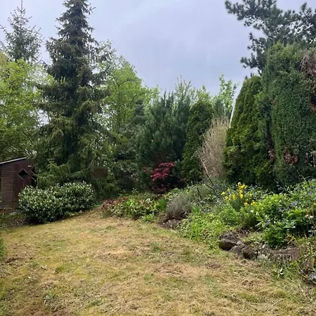Cozy In The Heart Of Nature Mansfeld